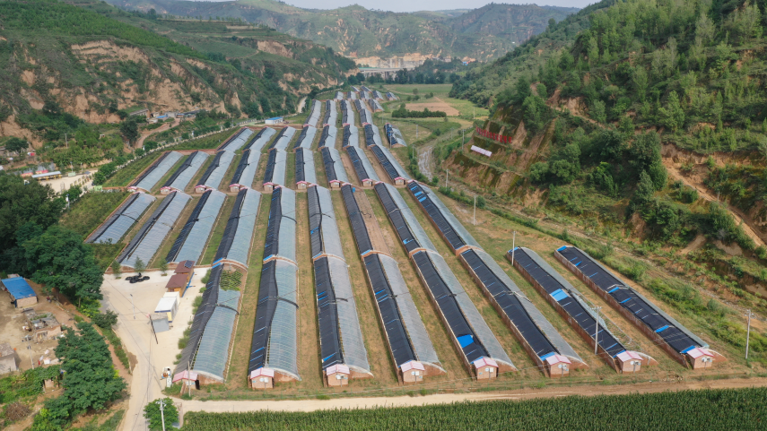 061754449270193760.png image.png