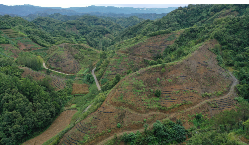 061754449836839345.png image.png