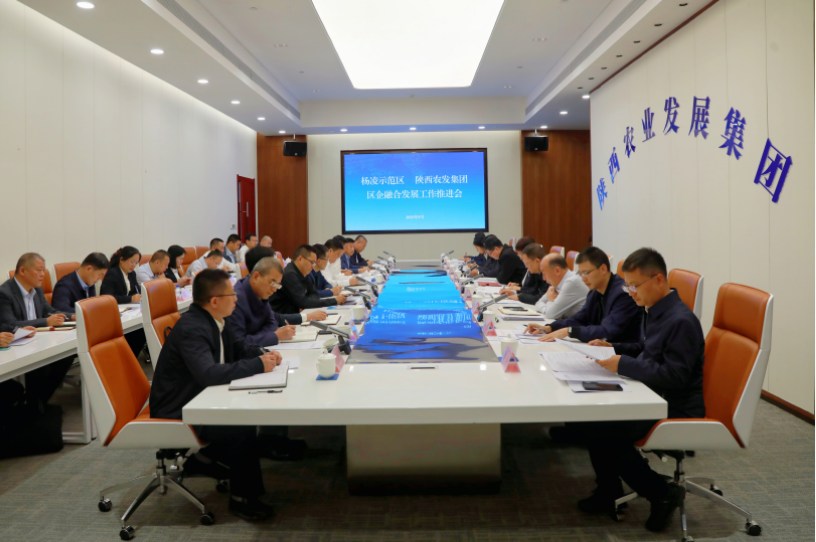 241758691233700609.png image.png