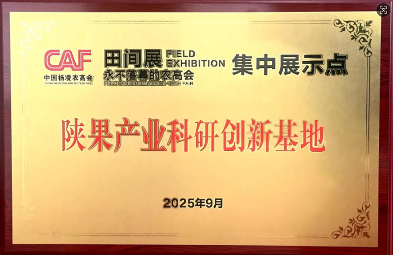 301759224554111251.png image.png