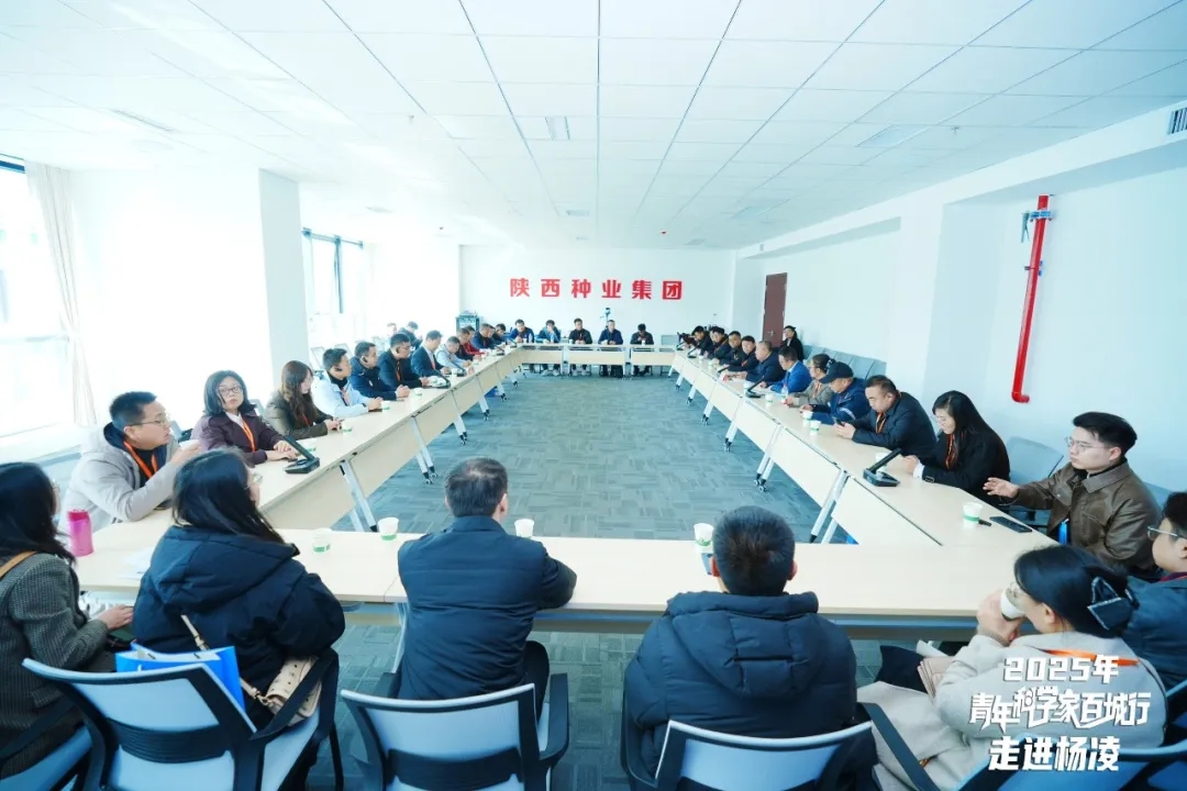 241763982504433866.jpg 640.webp.jpg