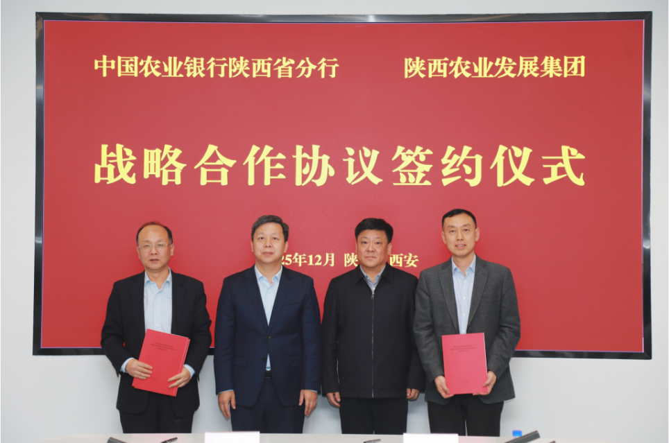 051764924131200797.png image.png