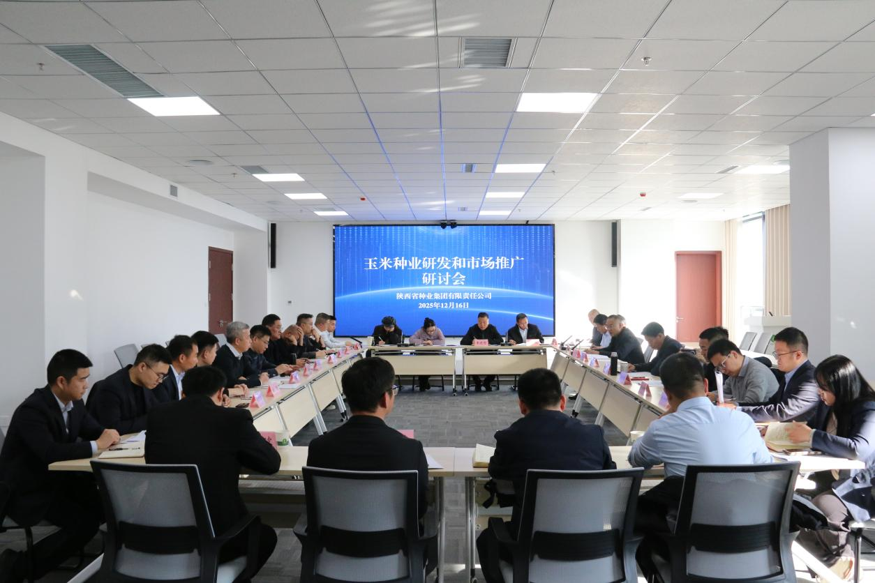 171765972636553987.png 图片1.png