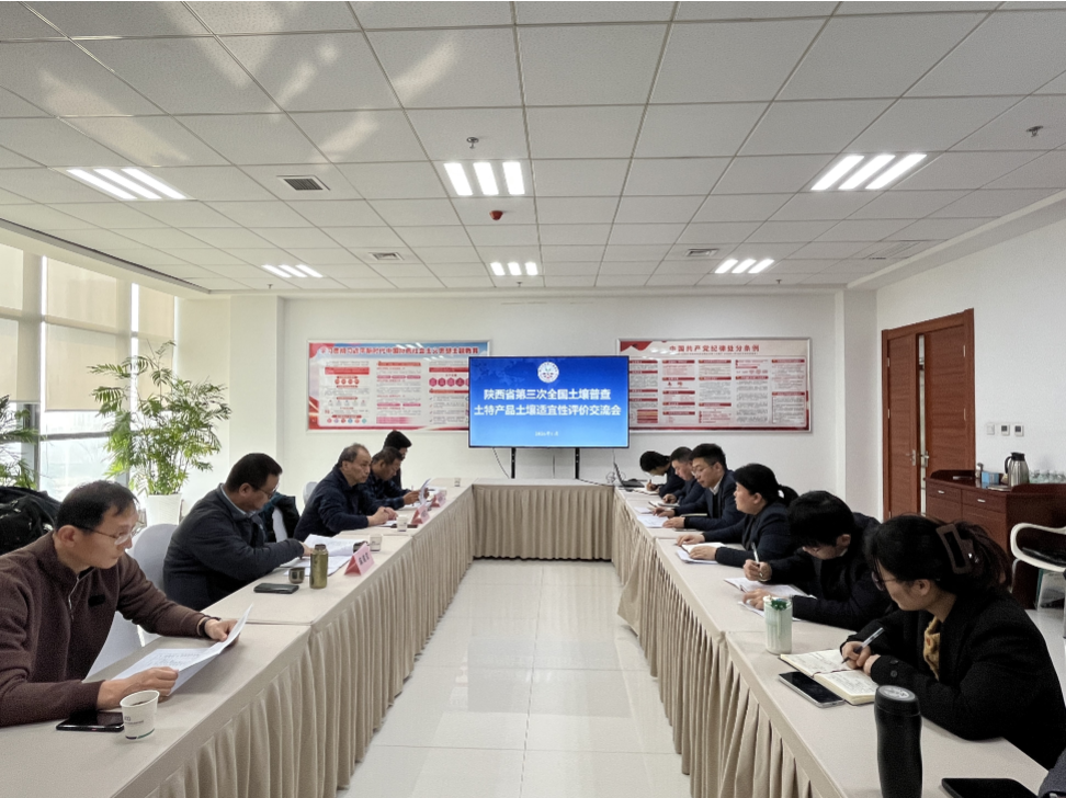 301769758684733417.png image.png