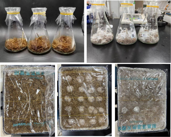 061770361169561740.png 图片2.png