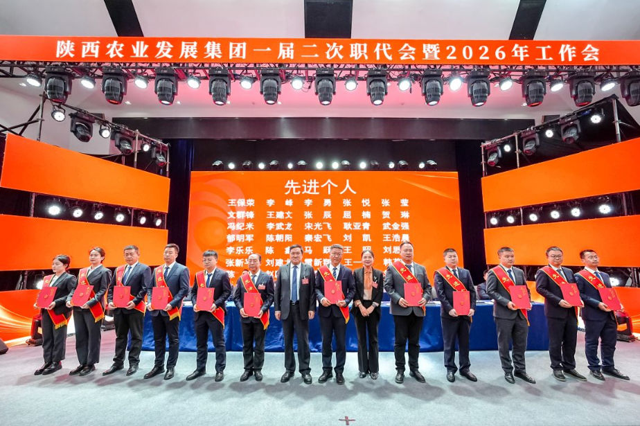 101770730321139336.png image.png