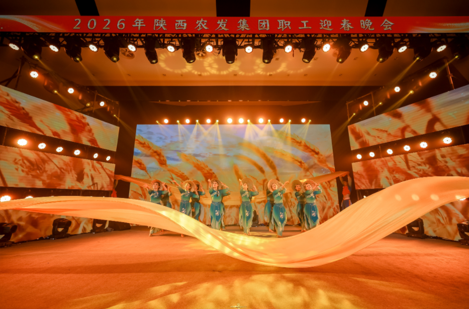 111770804494365208.png image.png