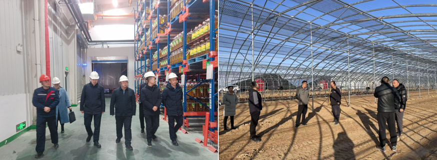 141771041786299340.png image.png