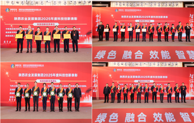 261772110856203751.png image.png