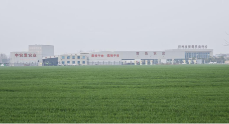 101773135417119964.png image.png