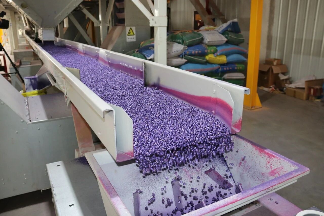 261774516550124956.jpg 2.jpg