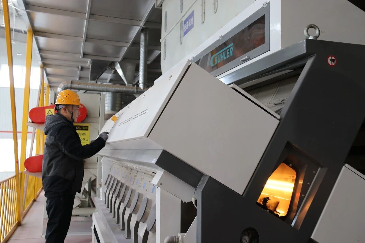 261774516604100864.jpg 5.jpg